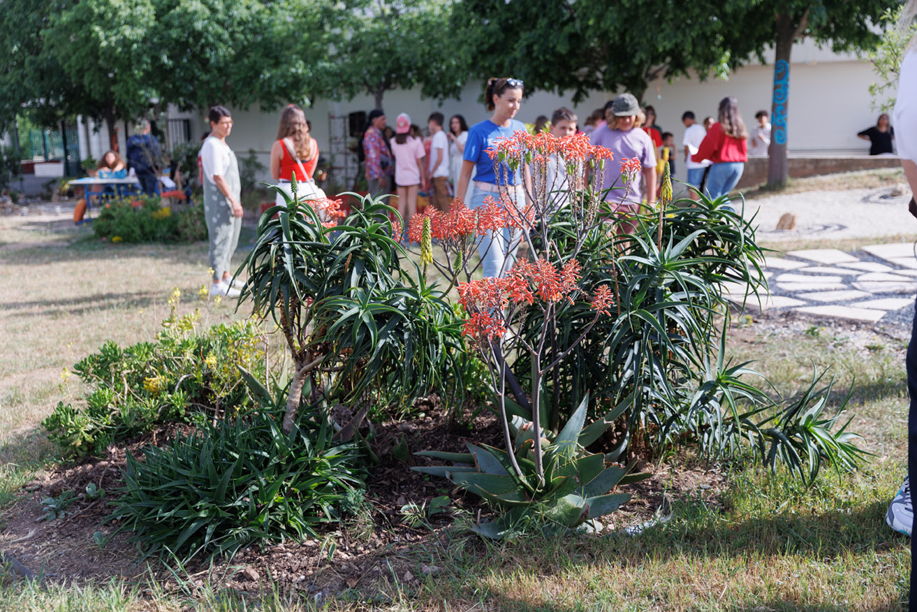 Les collégiens d’Alphonse Karr créent des jardins dans leur collège