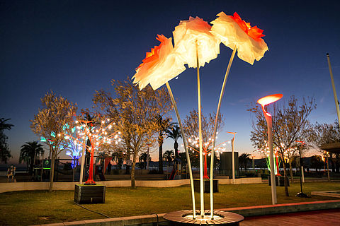 Fleurs lumineuses sur le jardin Bonaparte en 2018
