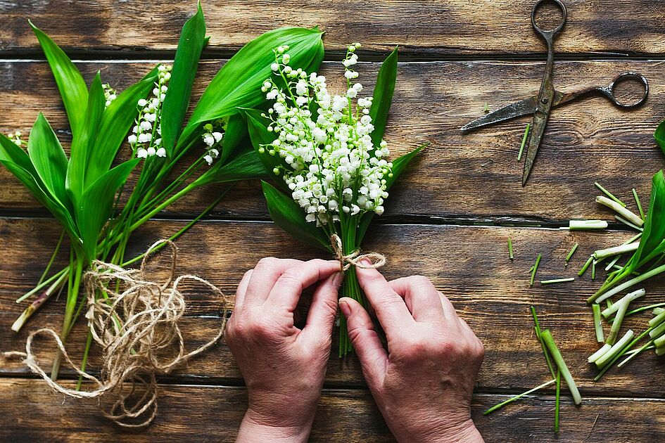 Sitemapcdatahttpsshudreferenzcombricolage Muguet Facilenull